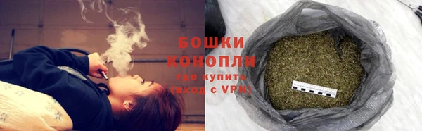 дурь Переславль-Залесский