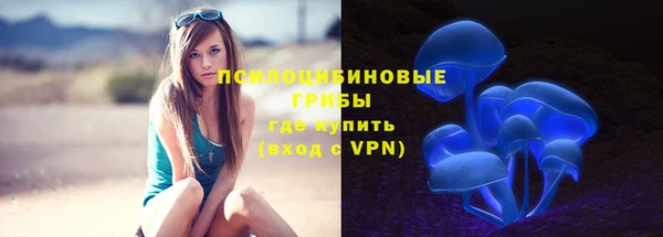 марки nbome Пересвет