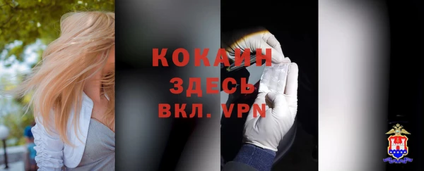 дурь Переславль-Залесский