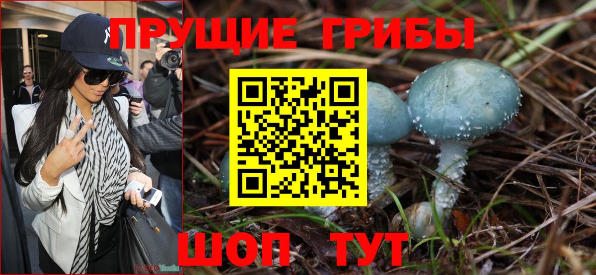 Псилоцибиновые грибы прущие грибы Снежинск