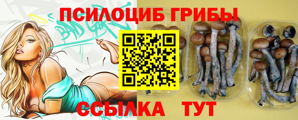 Снежинск  Галлюциногенные грибы Psilocybe  Галлюциногенные грибы Psilocybe  Вход с VPN 
